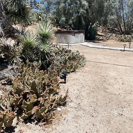 Mojave Desert Pied-A-Terre Yucca Valley Exteriör bild