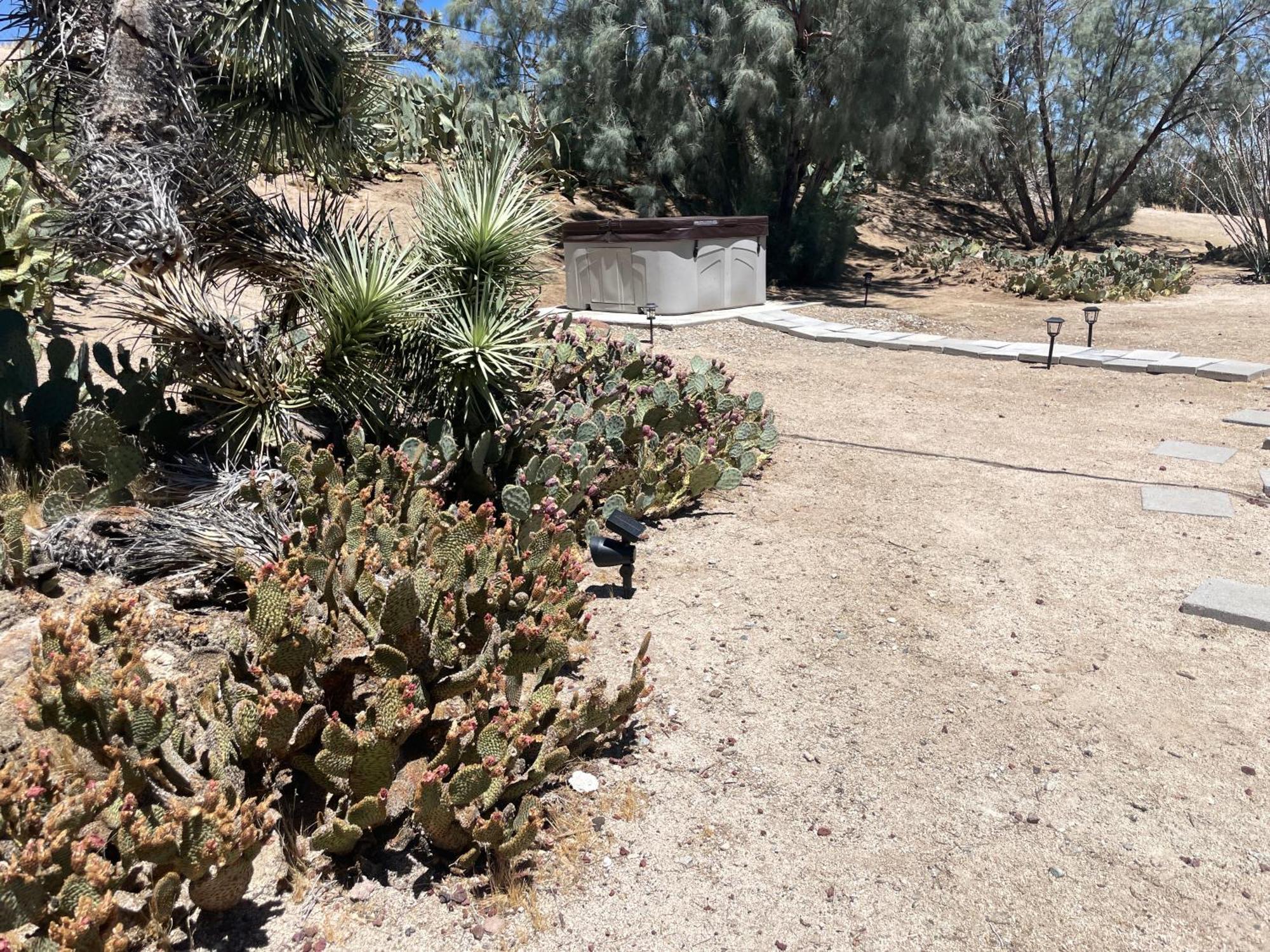 Mojave Desert Pied-A-Terre Yucca Valley Exteriör bild